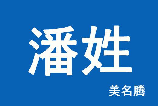 2020年潘姓女宝宝的名字