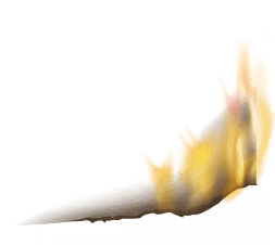 1.谭姓特点