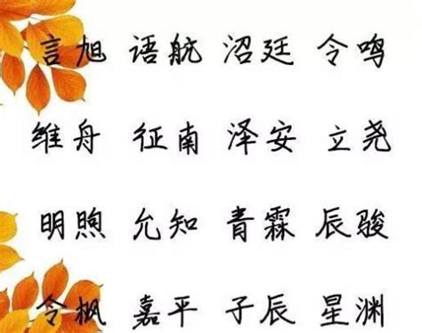 猪年姓万男孩起名大全