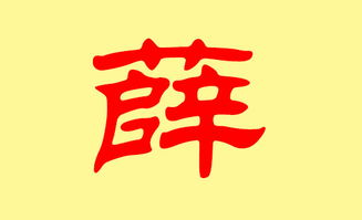 薛姓男孩起名像英文名字