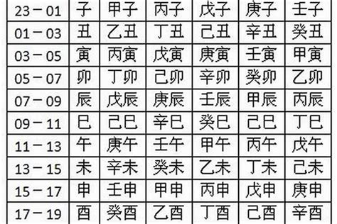 泰迪女宝宝名字萌萌