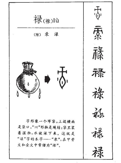 焦姓族谱字辈