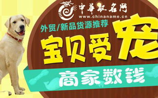 宠物起名大全