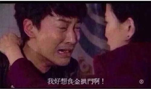 水和金组合寓意好的字男孩