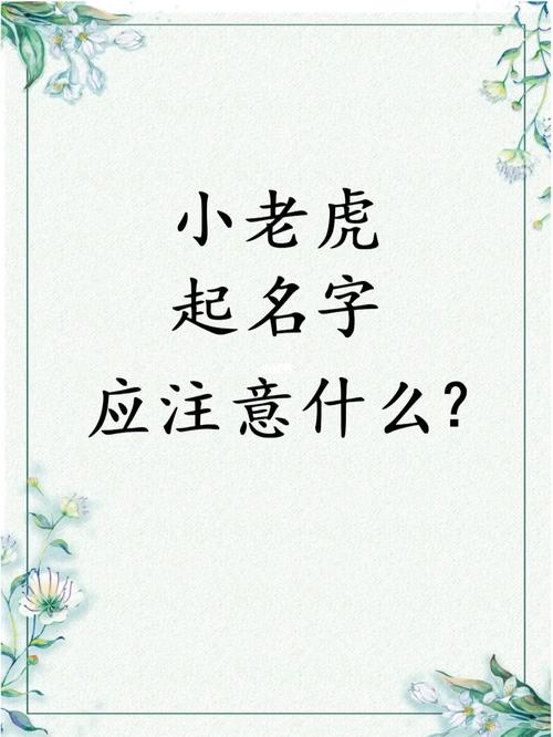 宝宝起名软件