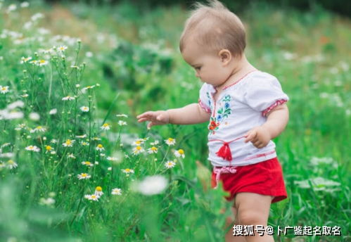 取名字金木水火土怎么查
