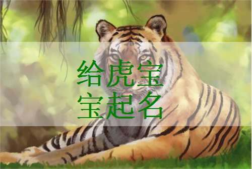 虎宝宝起名字带什么字好