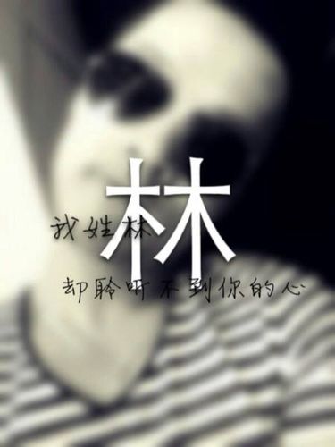 猪年男孩子取名字大全