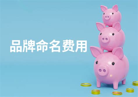 起名字的趣事怎么写