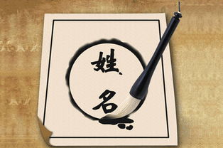 木材行业取名