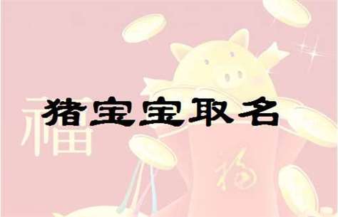 属猪宝宝男孩取名