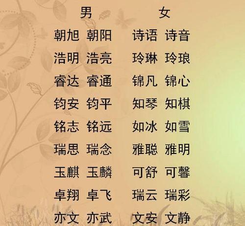 双胞胎男生名
