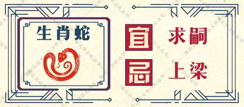 年（月日）十二生肖运势播报