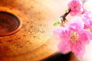 6月各星座运势如何