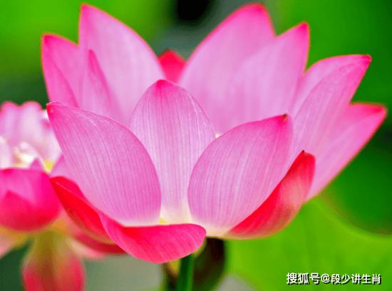 月上旬吉星高照属相喜事临门，桃花旺盛，事业爱情双丰收