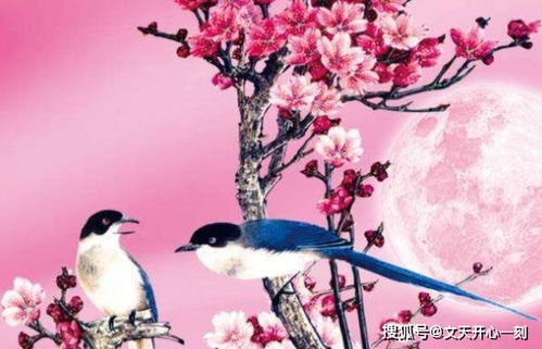 端午将至