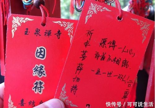 【十二生肖配对】最佳姻缘搭配大揭秘！🔍💑