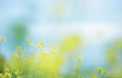 【下旬横财滚滚来，三大生肖好运连连】