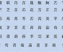 繁体网名连接传统与现代的文化桥梁