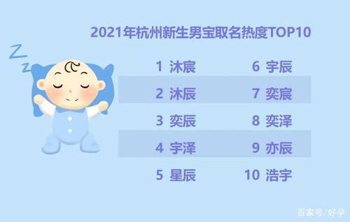 宝宝起名宝典项目工作计划