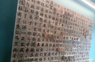 莫菲起名的文化传统与现代的交融