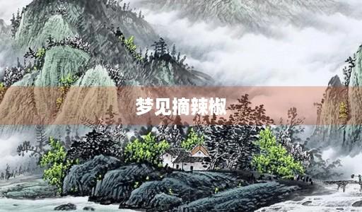 梦到辣椒含义？