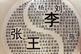 飞起名的含义