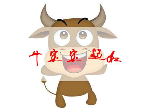 1.研究网名起名的文化背景