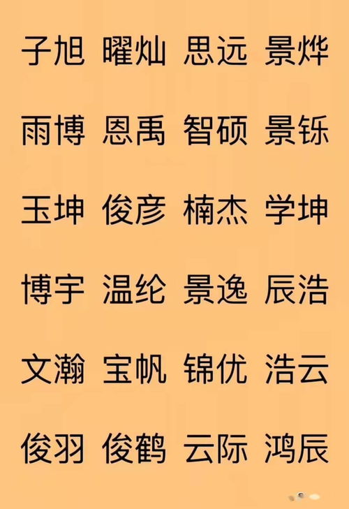 融入文化元素的男孩起名策略工作汇报