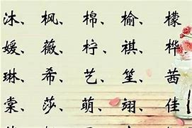 罗克露起名的文化