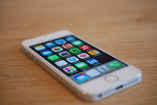 iPhone16全颜色曝光，探索苹果新推出的手机系列