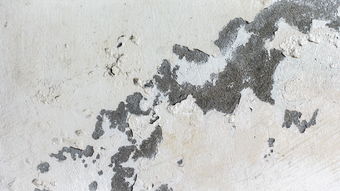 春节离杭,红包退还的艺术与智慧 春节离杭,红包退还的艺术与智慧