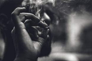 破风吟，狂风怒号下的国学意蕴探析