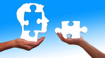 广东砍人事件,谣言还是真相? 广东砍人事件,谣言还是真相?