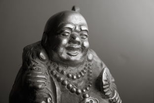 墨韵占星，国学底蕴中的姓名与命运解读——免费算命的智慧与真谛
