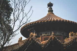 范志毅，国足看得我想跳进黄浦江