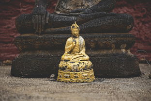 中华文化的瑰宝——中国古代文学与艺术的完美结合