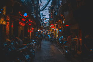 孤零飘落燕迅雷下载——一曲现代都市中的传统文化探幽