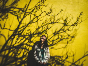 百丽菲达,时尚界的璀璨新星,如何引领潮流新风尚 百丽菲达,时尚界的璀璨新星,如何引领潮流新风尚