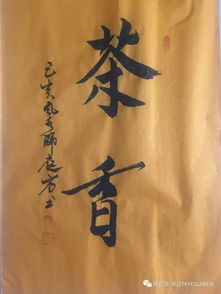 金日念什么