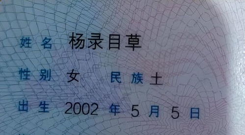 卓雅文化理念