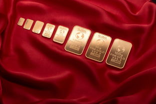 择校骗局，29名家长被骗超1018万