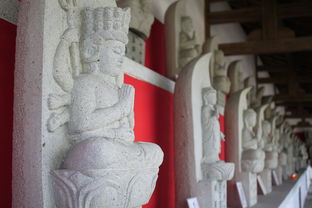 姓名五行八字精解,揭示命运密码,共筑锦绣人生 姓名五行八字精解,揭示命运密码,共筑锦绣人生