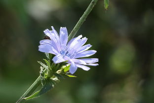 解码红尘,以姓名之韵,窥探人生的桃花命理 解码红尘,以姓名之韵,窥探人生的桃花命理