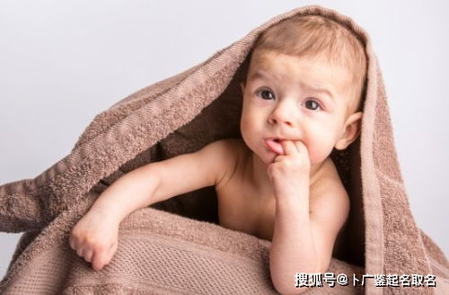 柳字起名寓意