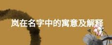 岚珊起名的文化