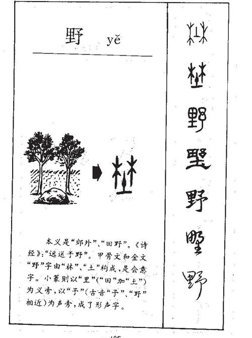 斐这个字的拼音是什么