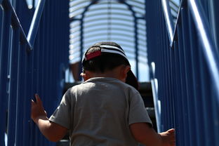 依依不舍,穿越时空的眷恋之名——以古韵诠释离别深情 依依不舍,穿越时空的眷恋之名——以古韵诠释离别深情