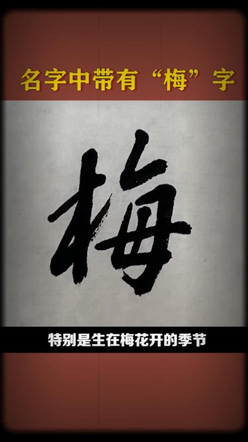 冬梅这个名字蕴含的意义