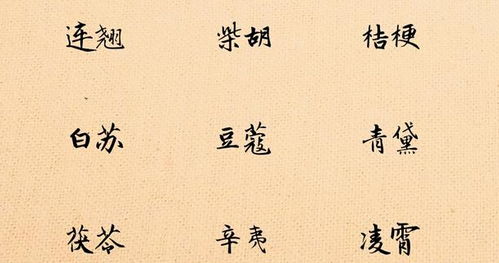宋字起名